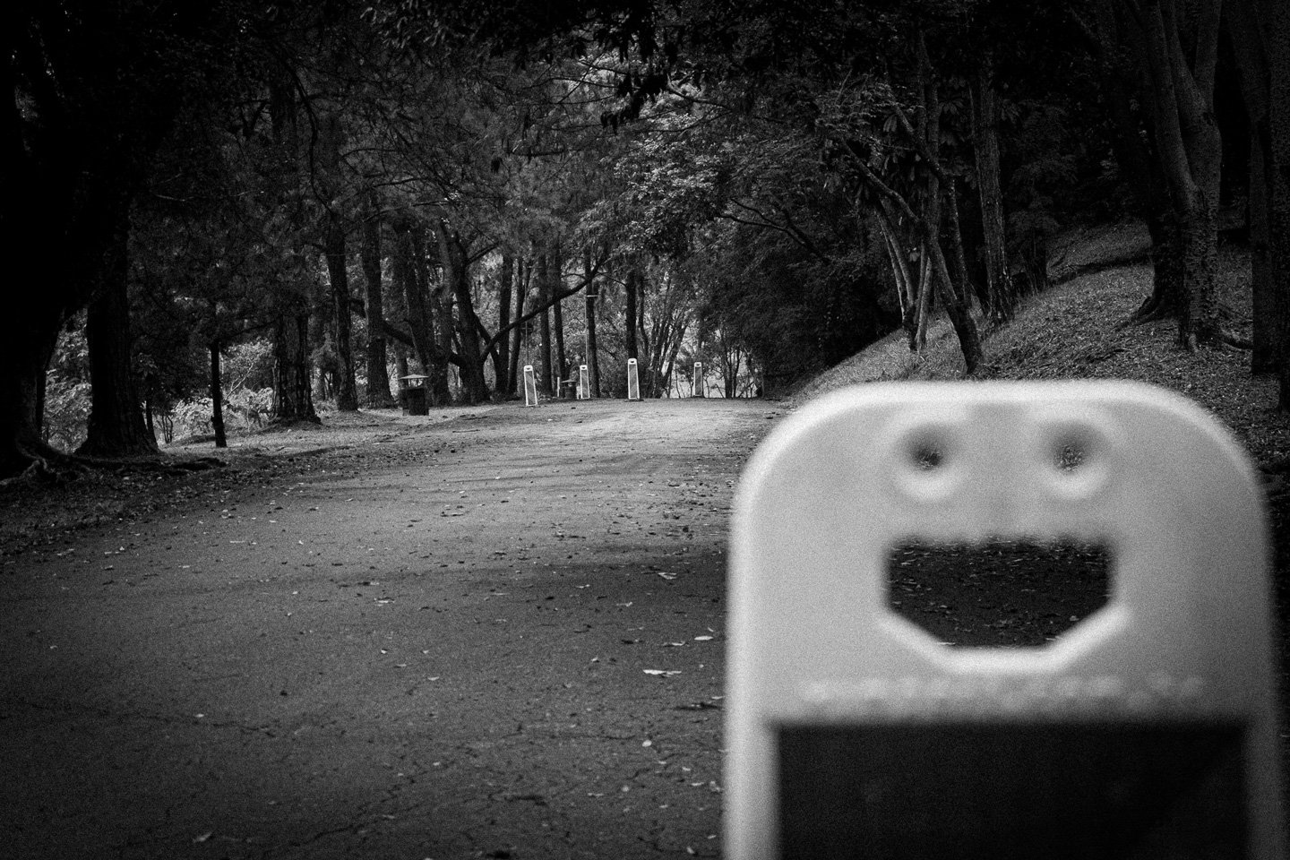Aparições, fotografia da coleção Silêncio