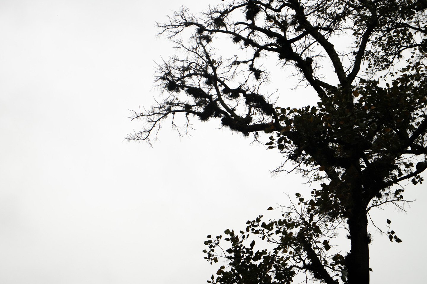 O Elmo, fotografia da coleção Silêncio
